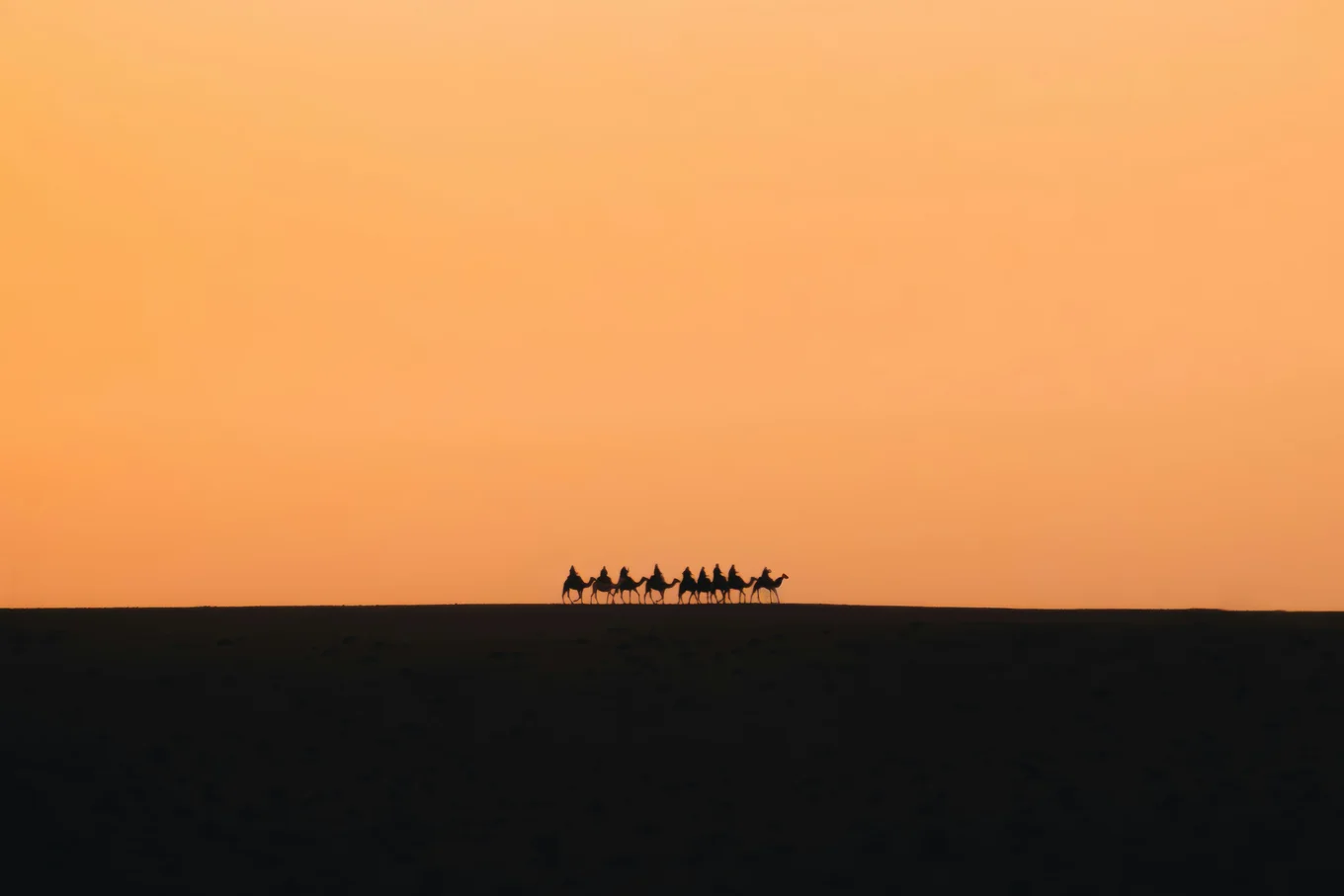 What's New in the Latest OCaml Update: OCaml 5.5 Summary